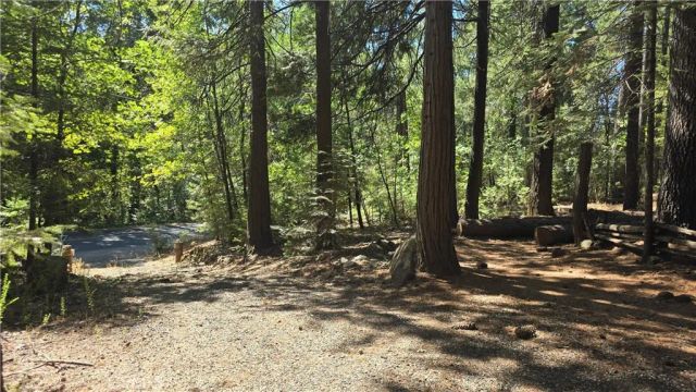 6251 Steiffer, Magalia, CA 95954