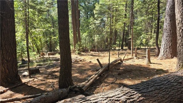 6251 Steiffer, Magalia, CA 95954