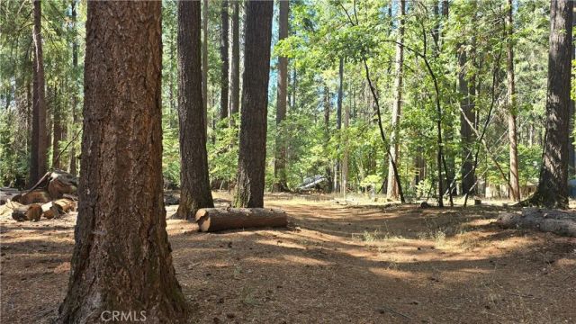 6251 Steiffer, Magalia, CA 95954