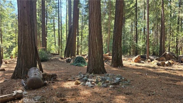 6251 Steiffer, Magalia, CA 95954