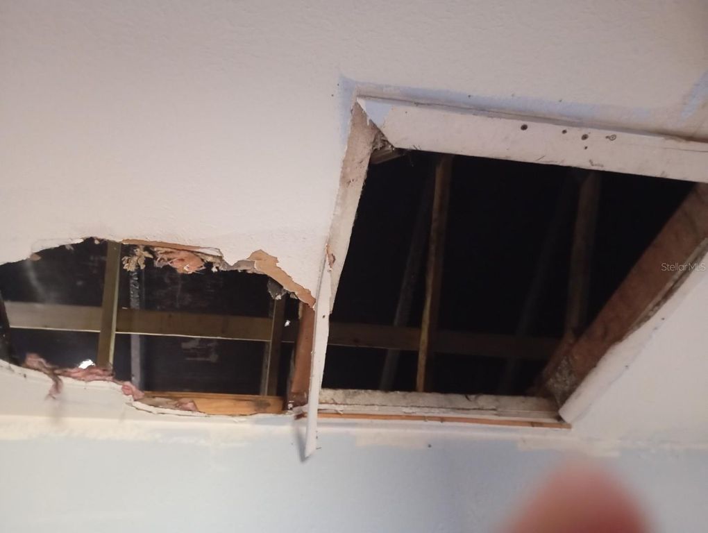 Image 12 of property listing at 2924 E 148TH AVENUE, Lutz, FL 33559