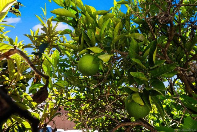 3612 Polk Avenue, San Diego, CA 92104