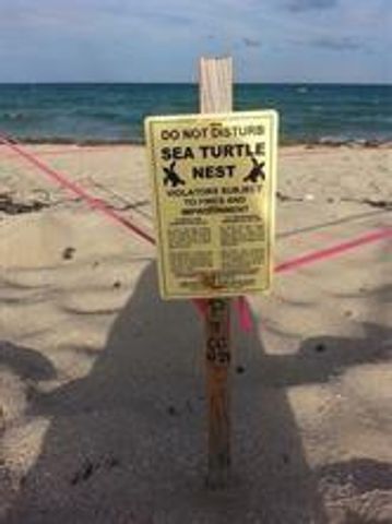 3236 NE 5th Street 402, Pompano Beach, FL 33062