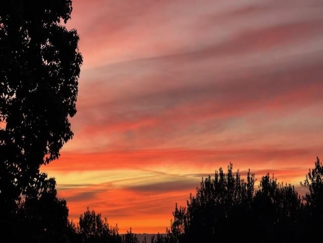 8799 Grape Wagon Circle, San Jose, CA 95135