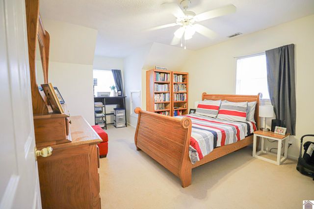 59 Martha Lane, Symsonia, KY 42082