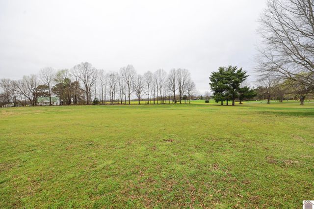 59 Martha Lane, Symsonia, KY 42082