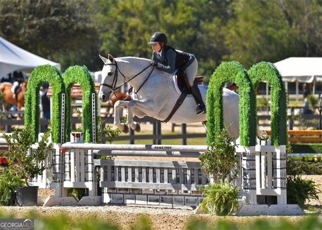 531 S Main Street 210, Alpharetta, GA 30009