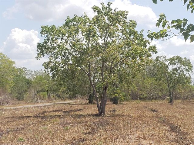 10263 Beard Rd Road, Needville, TX 77461