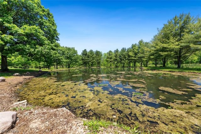 3190 Fixler Road, Medina, OH 44256