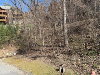 Black Bear Cub Way, Sevierville, TN 37862