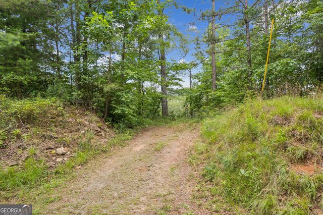 LOT 6 Riverfront Drive, Ellijay, GA 30536