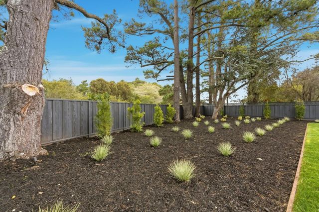 1907 Ticonderoga Drive, San Mateo, CA 94402