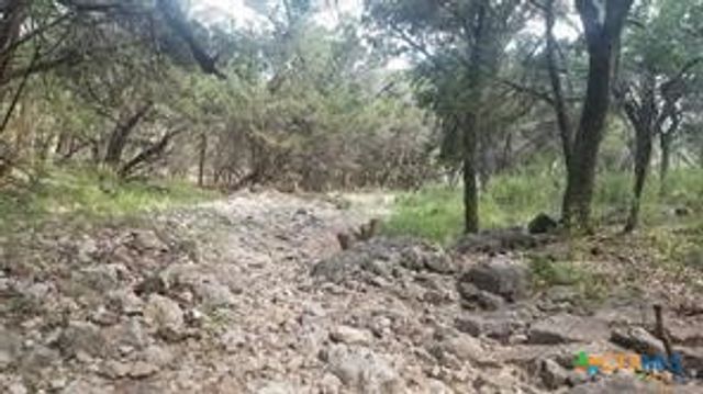 603 Copper Trace, New Braunfels, TX 78132