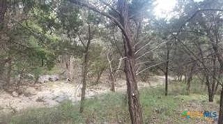 603 Copper Trace, New Braunfels, TX 78132