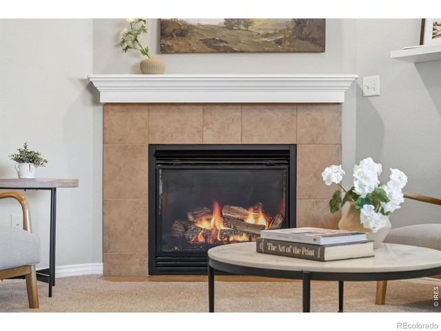 8972 Raging Bull Lane, Wellington, CO 80549