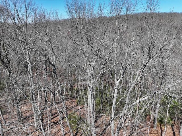 206 Northview Parkway, Ellijay, GA 30536