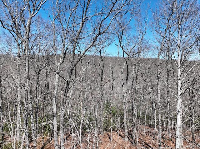 206 Northview Parkway, Ellijay, GA 30536