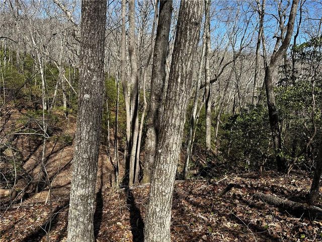 206 Northview Parkway, Ellijay, GA 30536