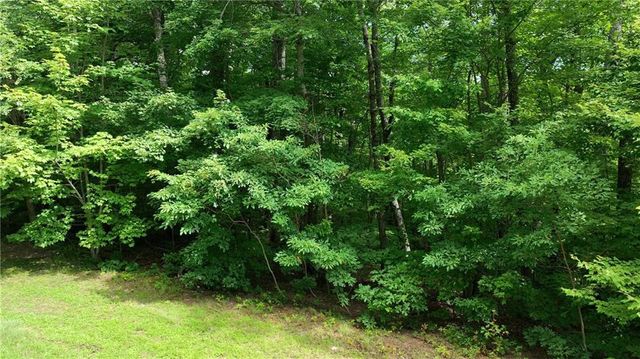 206 Northview Parkway, Ellijay, GA 30536