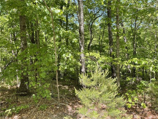 206 Northview Parkway, Ellijay, GA 30536