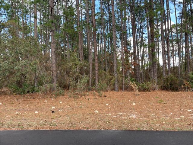 TBD SW 80TH COURT, Ocala, FL 34473