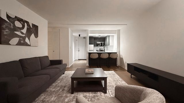 233 E Erie Street 1703, Chicago, IL 60611