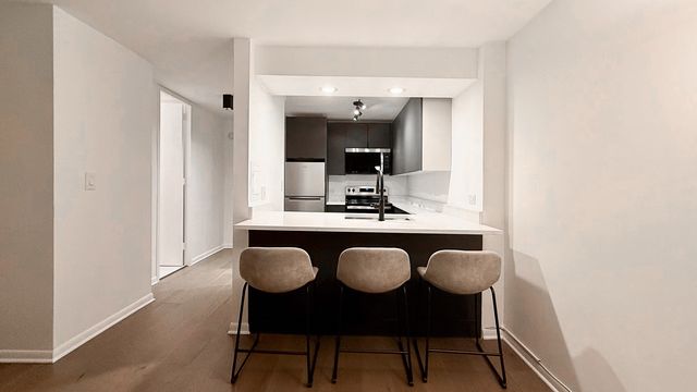 233 E Erie Street 1703, Chicago, IL 60611