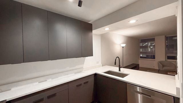 233 E Erie Street 1703, Chicago, IL 60611