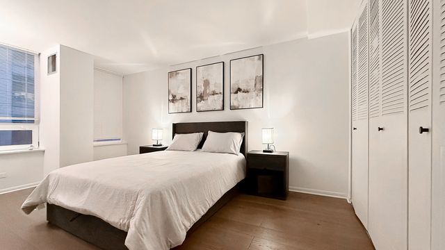 233 E Erie Street 1703, Chicago, IL 60611