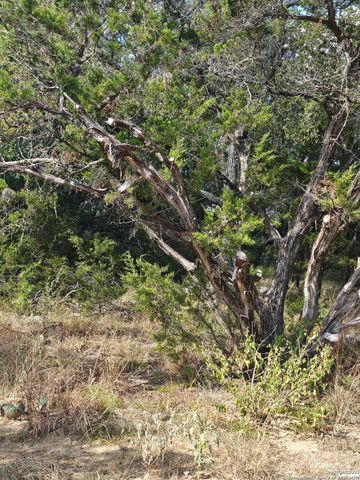 1645 Whispering Hills, Canyon Lake, TX 78133