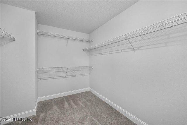 411 NARROWLEAF Drive, St. Johns, FL 32259