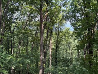 LT M177 Walnut Ridge, Ellijay, GA 30536