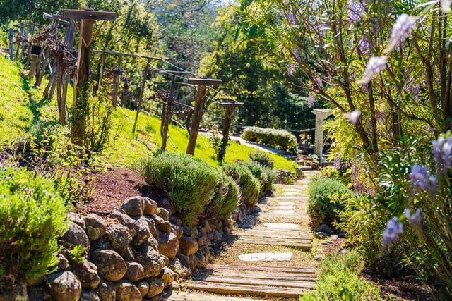 25220 Quail Ridge Road, Los Gatos, CA 95033