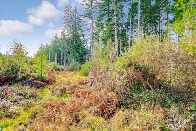 1 E Jared Road, Shelton, WA 98584