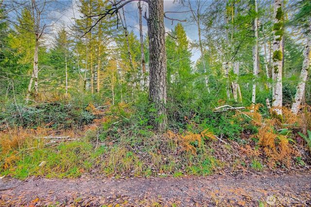 1 E Jared Road, Shelton, WA 98584