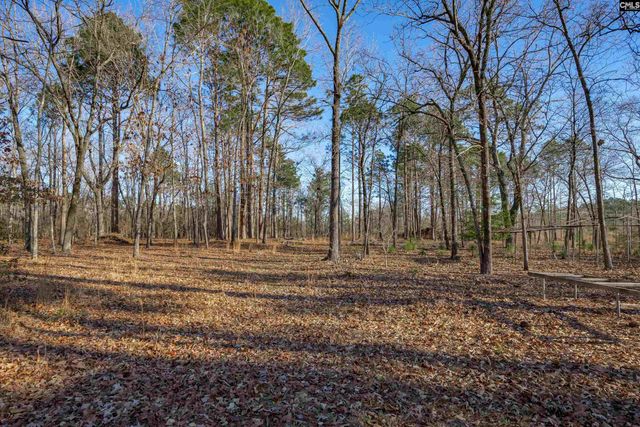 532 Burns Drive, Swansea, SC 29160