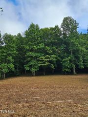 Tbd Caney Valley Road, Surgoinsville, TN 37873