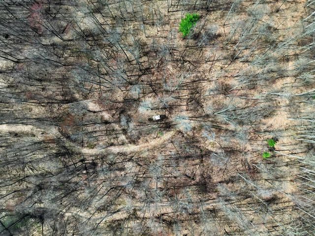 7045 17 Mile Road, Cedar Springs, MI 49319