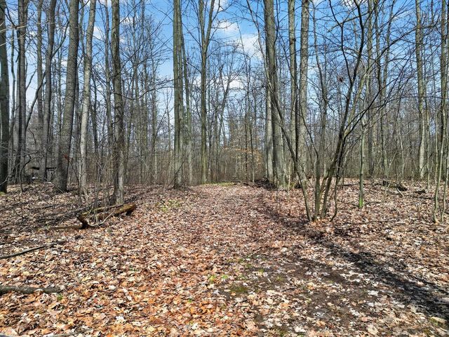 7045 17 Mile Road, Cedar Springs, MI 49319