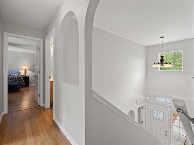 19212 WOOD SAGE DRIVE, Tampa, FL 33647