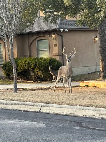 1107 Saddle Horse, San Antonio, TX 78260