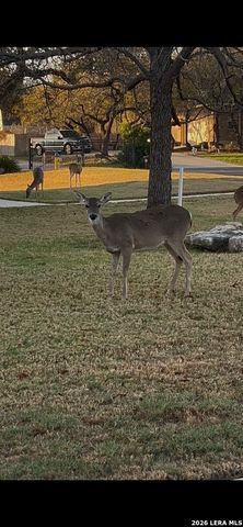 1107 Saddle Horse, San Antonio, TX 78260