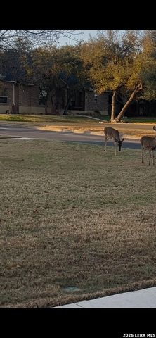 1107 Saddle Horse, San Antonio, TX 78260