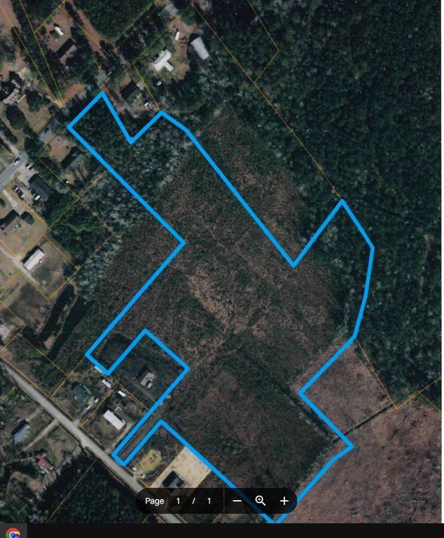16.94 acres Highway 905, Conway, SC 29526