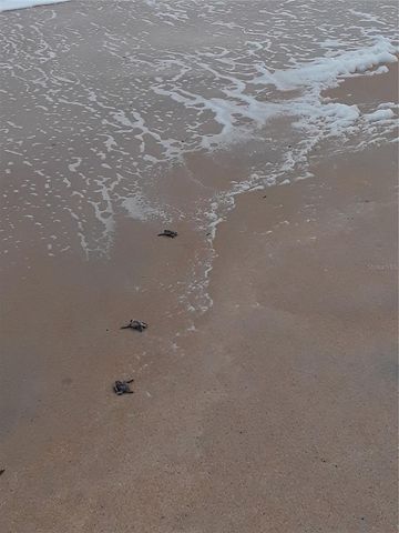 123 ARENA LAKE DRIVE, Palm Coast, FL 32137