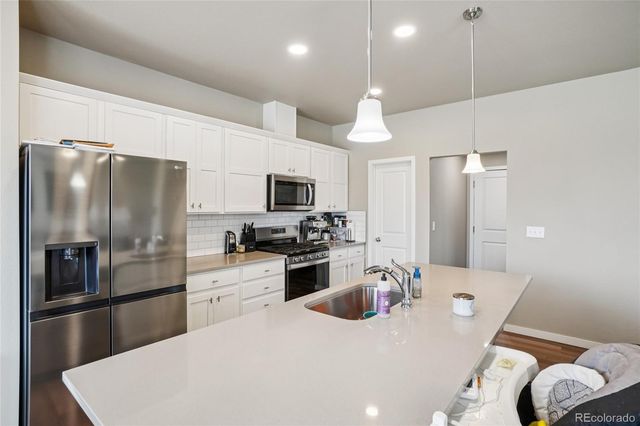 3774 Beech Tree Street, Wellington, CO 80549