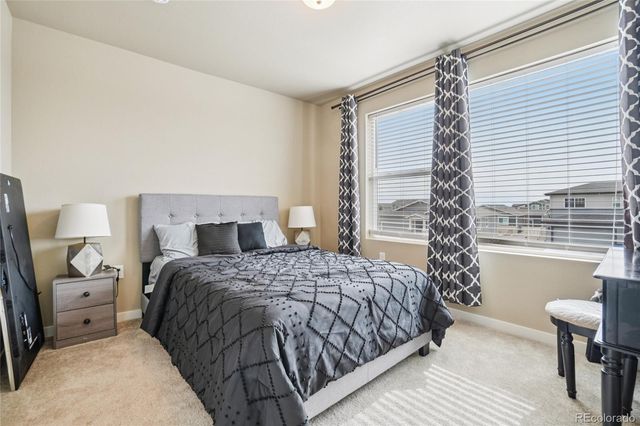 3774 Beech Tree Street, Wellington, CO 80549