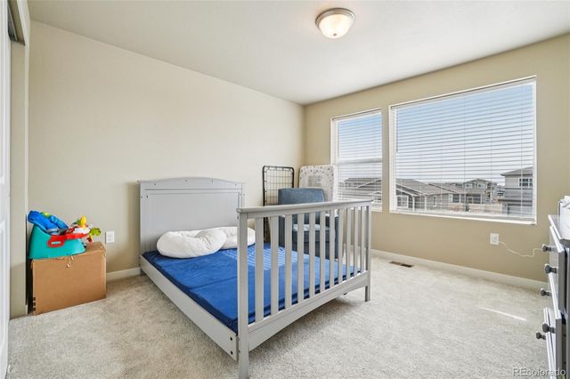 3774 Beech Tree Street, Wellington, CO 80549