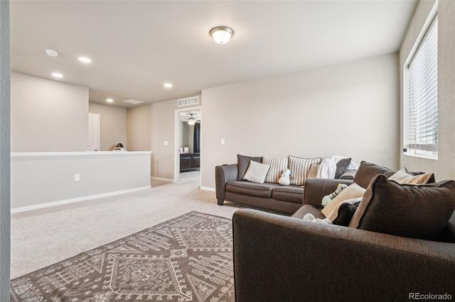 3774 Beech Tree Street, Wellington, CO 80549