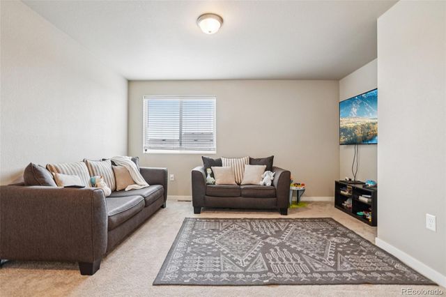 3774 Beech Tree Street, Wellington, CO 80549